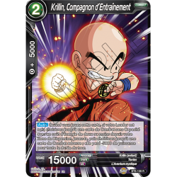 BT6-109 Krillin, compagnon d'entrainement