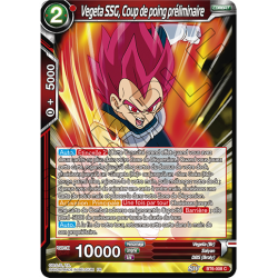 BT6-008 Vegeta, coup de poing préliminaire