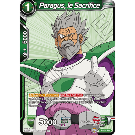 P-105 PR Paragus, le sacrifice