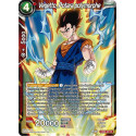 EX06-02 Vegetto, Potara polymorphe