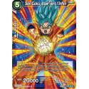 EX06-08 Son Goku, Voie vers l'Infini