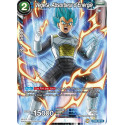 EX06-09 Vegeta, Absorbeur d'Énergie