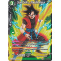 GE04-P-074 Son Goku, Pacificateur