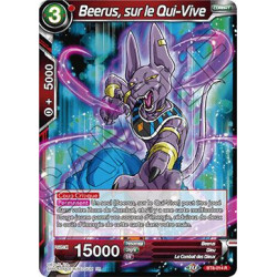 BT8-014 Beerus, sur le Qui-Vive