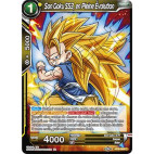 BT8-069 Son Goku SS3, en Pleine Évolution