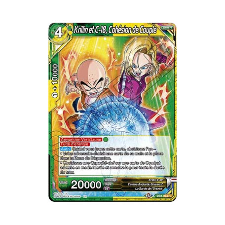 DB1-093 Krillin et C-18, Cohésion de Couple