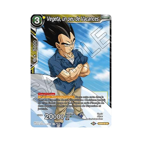 EX09-02 Vegeta, un peu de Vacances