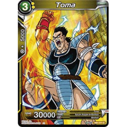 DB1-071 Toma