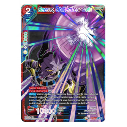 BT9-107 Beerus, Oblitérateur divin