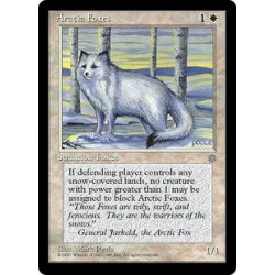 Arctic Foxes