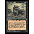 Pestilence Rats