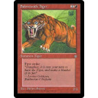 Sabretooth Tiger