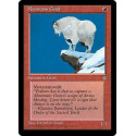 Mountain Goat