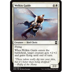 Welkin Guide