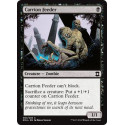 Carrion Feeder