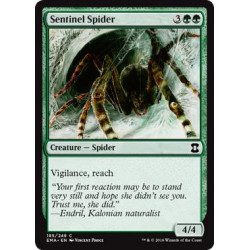 Sentinel Spider