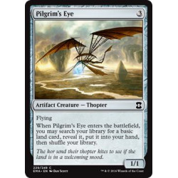 Pilgrim's Eye