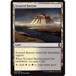 Scoured Barrens